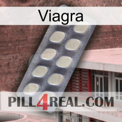 Viagra 08